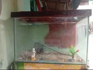 Big Aquarium