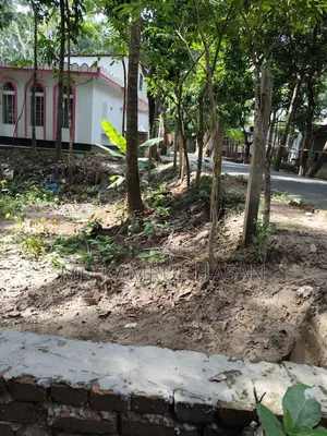 08 decimals of land for sale next to Purba Kakura Paschim Kandi Mosque