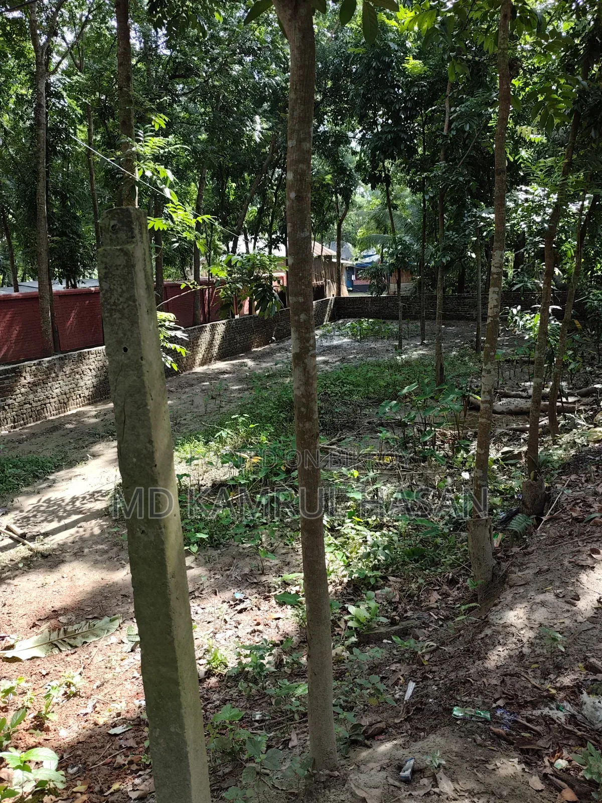 08 decimals of land for sale next to Purba Kakura Paschim Kandi Mosque