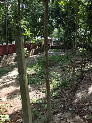 08 decimals of land for sale next to Purba Kakura Paschim Kandi Mosque