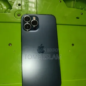 অ্যাপল আইফোন ১২ প্রো ম্যাক্স ২৫৬ জিবি নীল