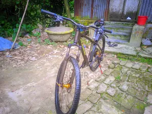 Phoenix Cycle