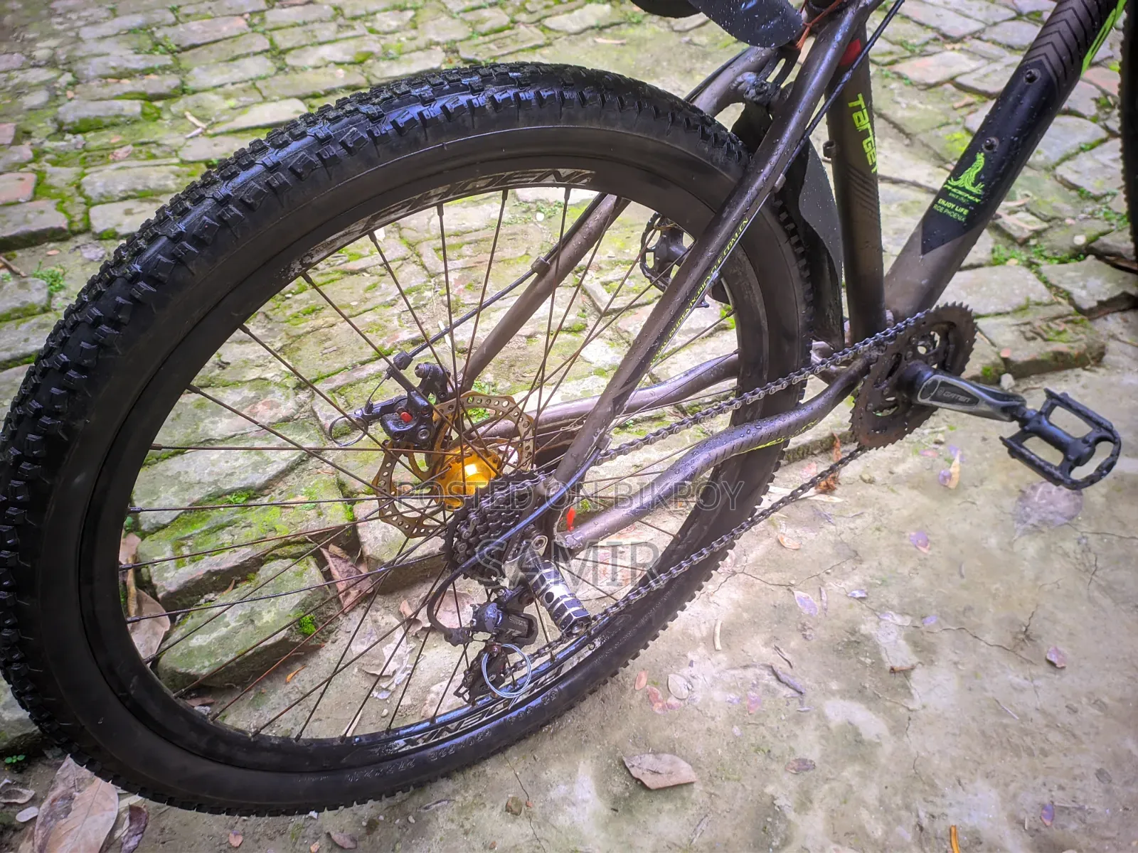 Phoenix Cycle