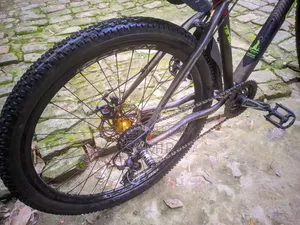 Phoenix Cycle
