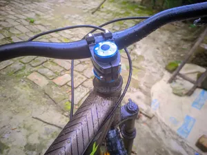 Phoenix Cycle