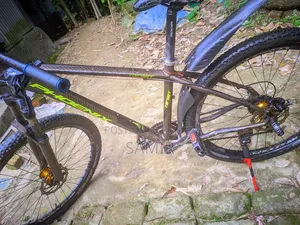 Phoenix Cycle