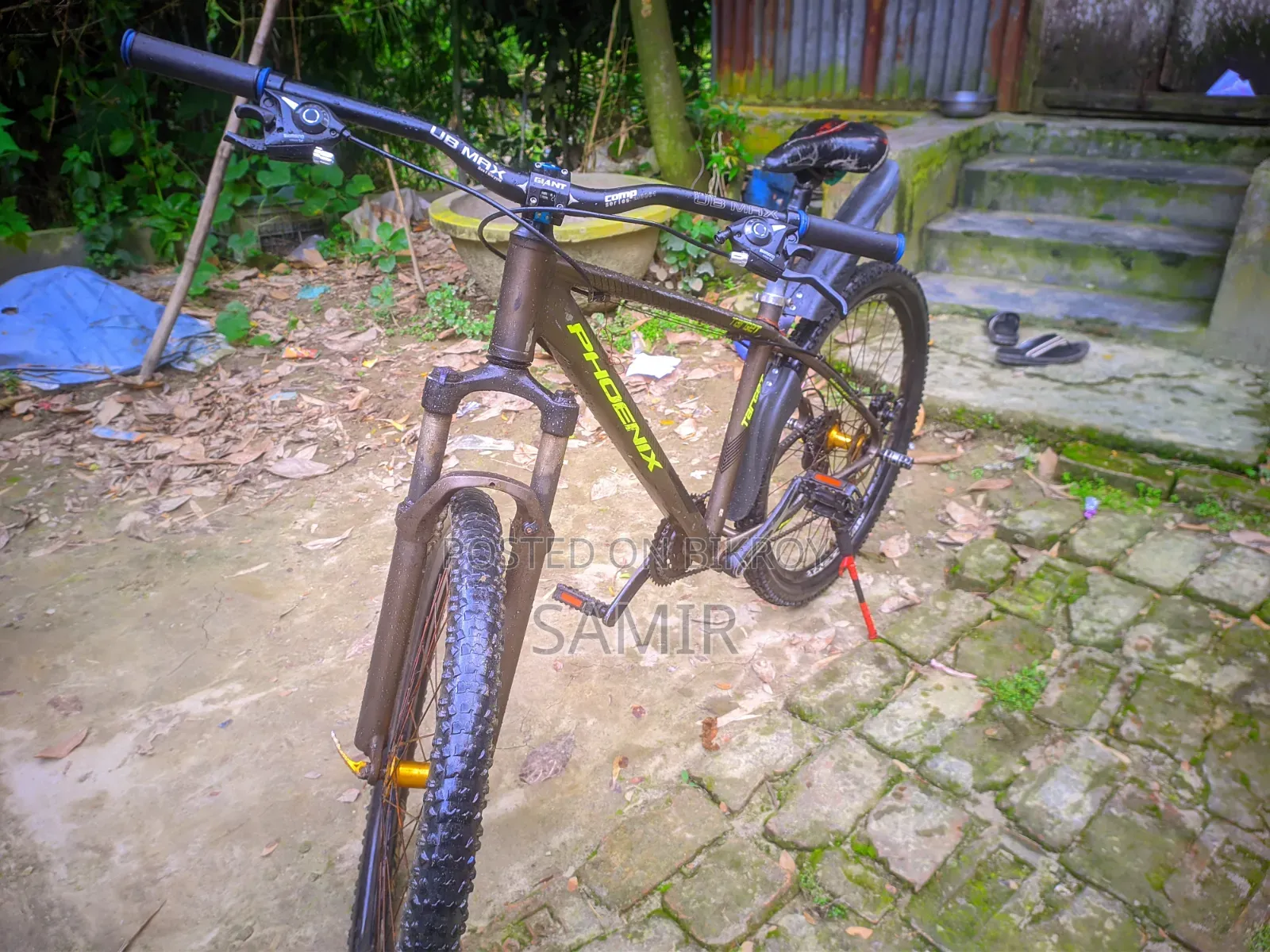 Phoenix Cycle