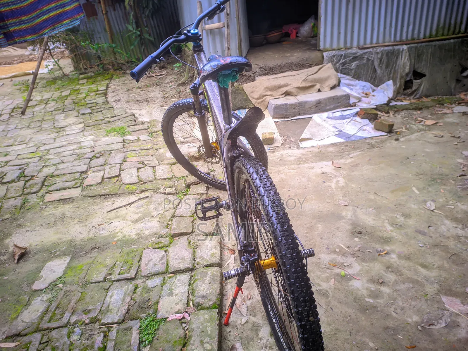 Phoenix Cycle