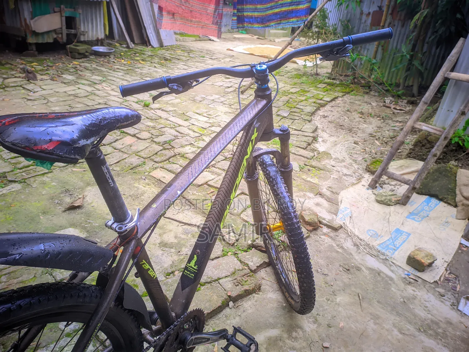 Phoenix Cycle
