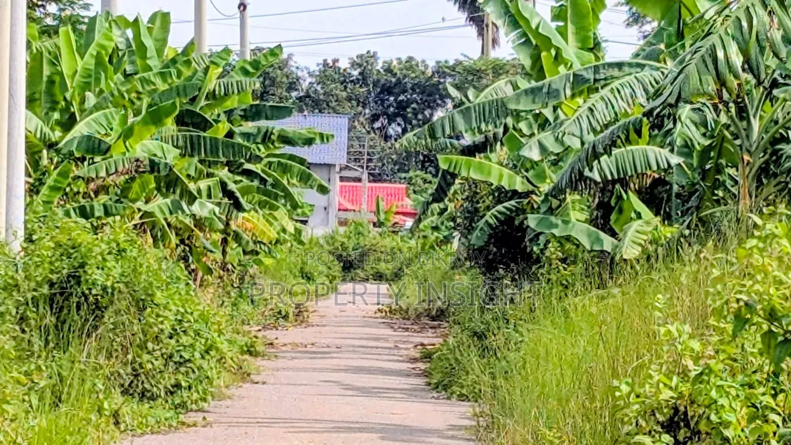 Plot Sale : 2.5 Katha at Aftab Nagar