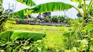 Plot Sale : 2.5 Katha at Aftab Nagar