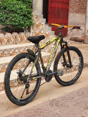 Phoenix New Condition Cycle