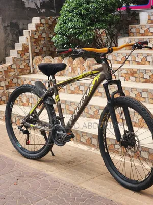 Phoenix New Condition Cycle