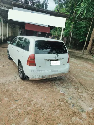 Toyota Corolla Fielder 2004 White