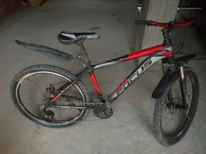 Aluminum Body Gear Cycle