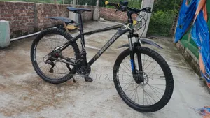 Phoenix Gear Cycle 26"