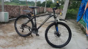 Phoenix Gear Cycle 26"