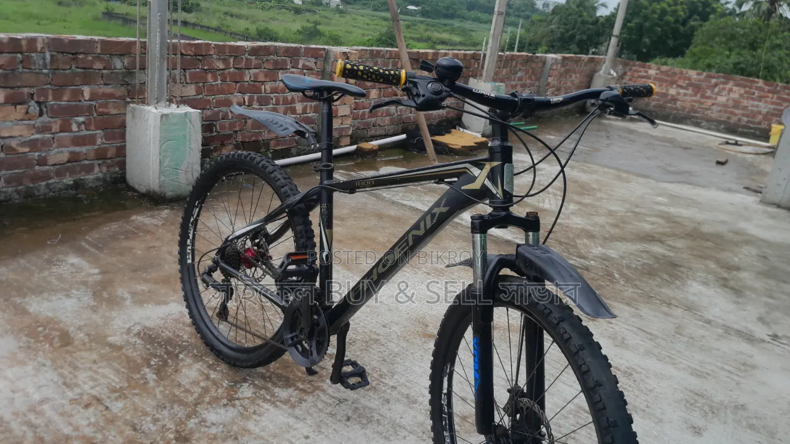 Phoenix Gear Cycle 26"