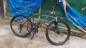 Phoenix Gear Cycle Model 1800