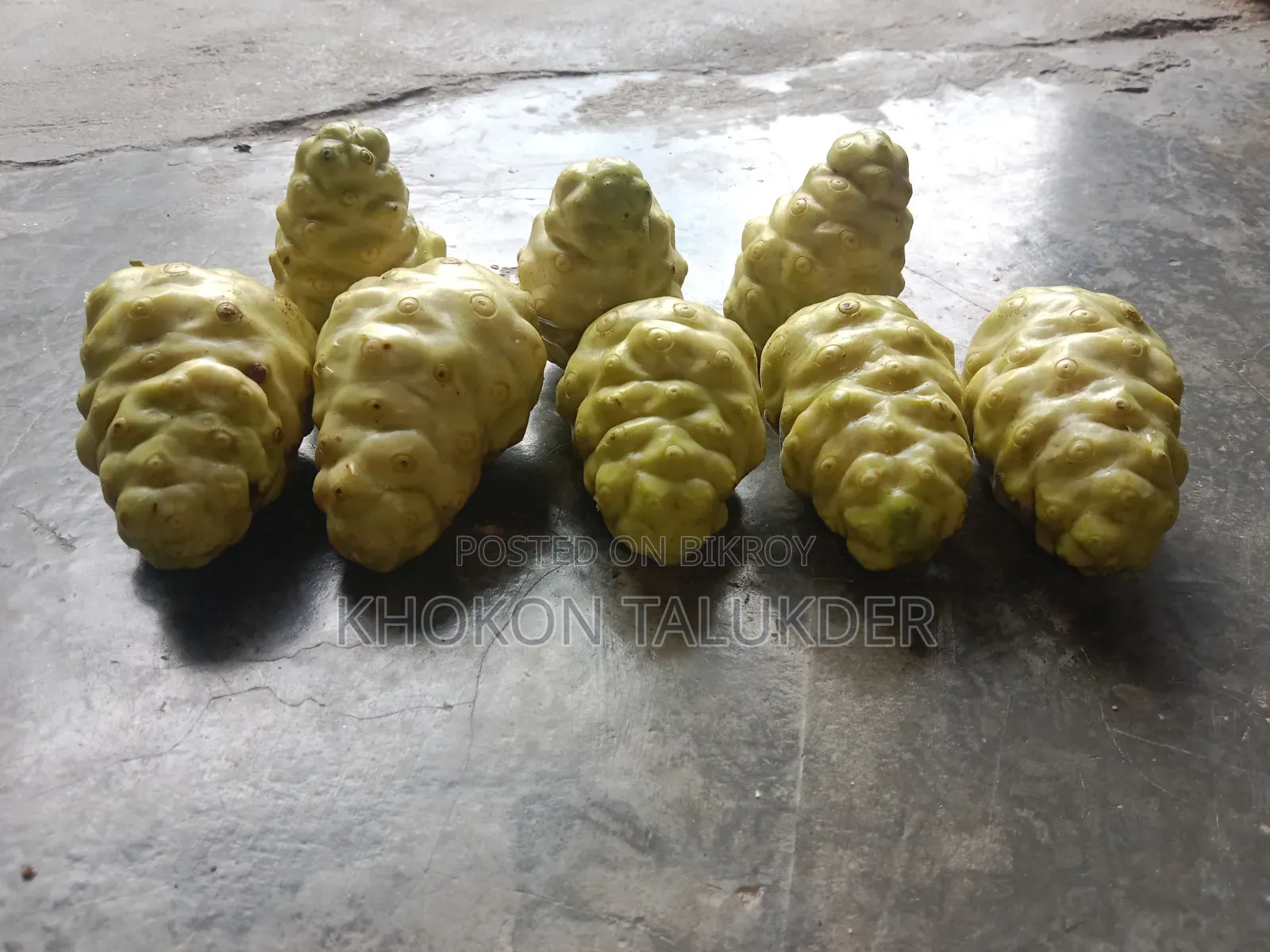 একটি  ঔষধী  ফল নোনি