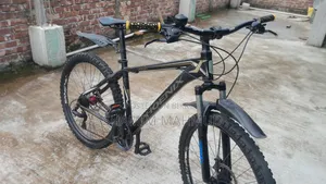 Phoenix Alloy Body Gear Cycle