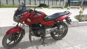 Bajaj Pulsar 150 2009 Red