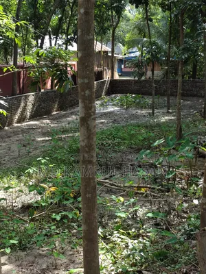 09 decimal of land for sale next to Purba Kakura Pschim Kandi Mosque