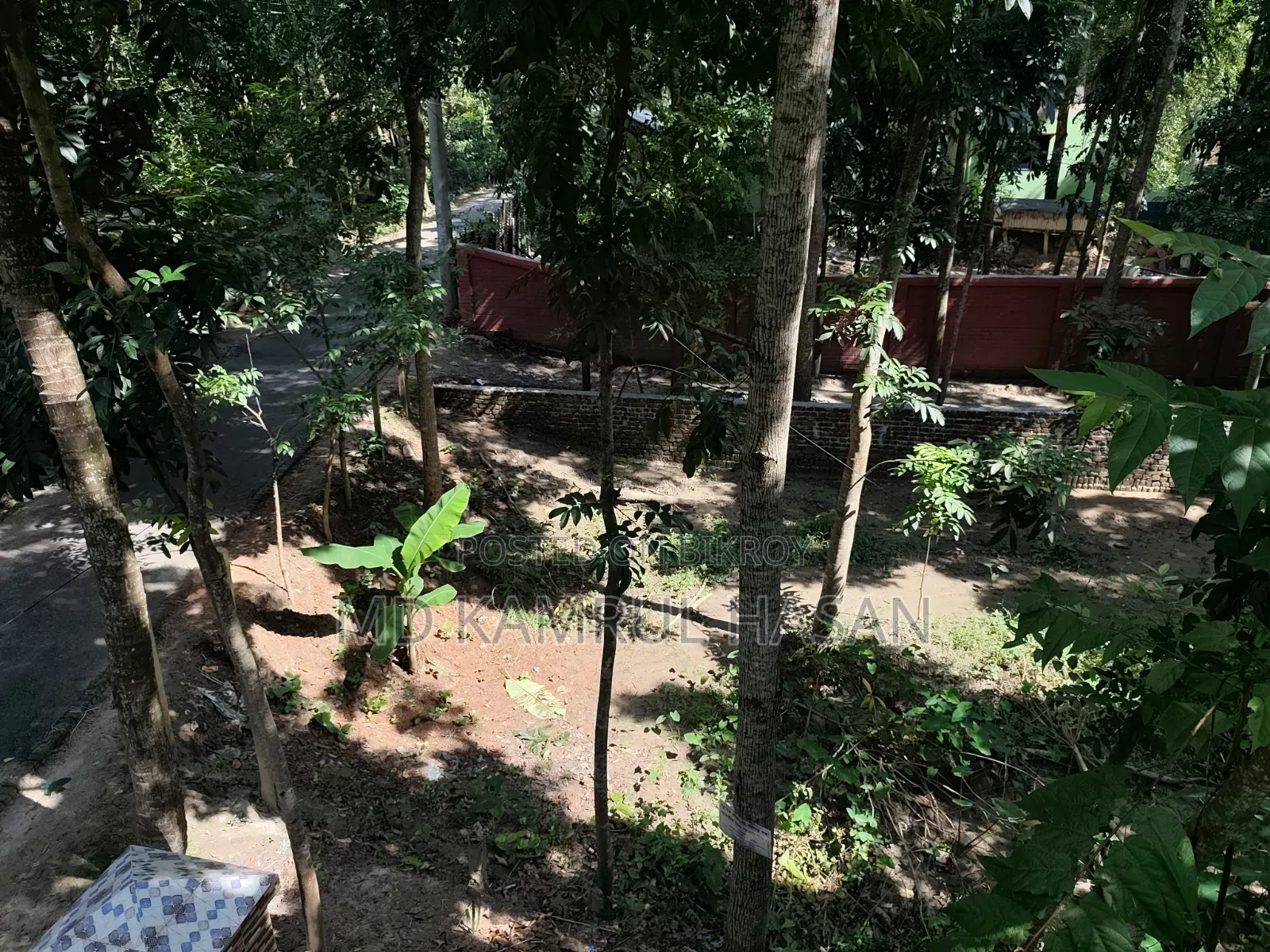 08 decimals of land for sale next to Purba Kakura Paschim Kandi Mosque