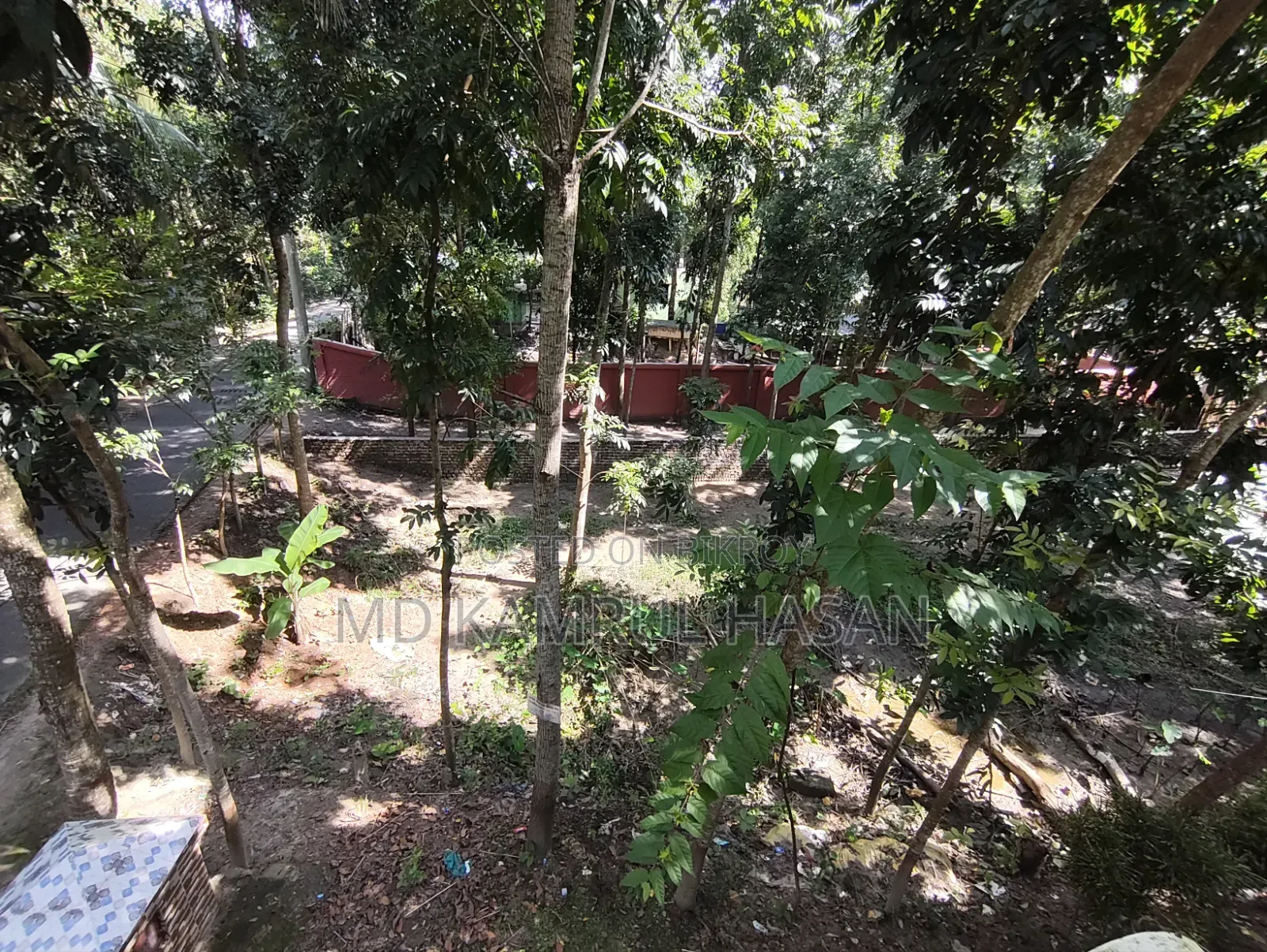 08 decimals of land for sale next to Purba Kakura Paschim Kandi Mosque