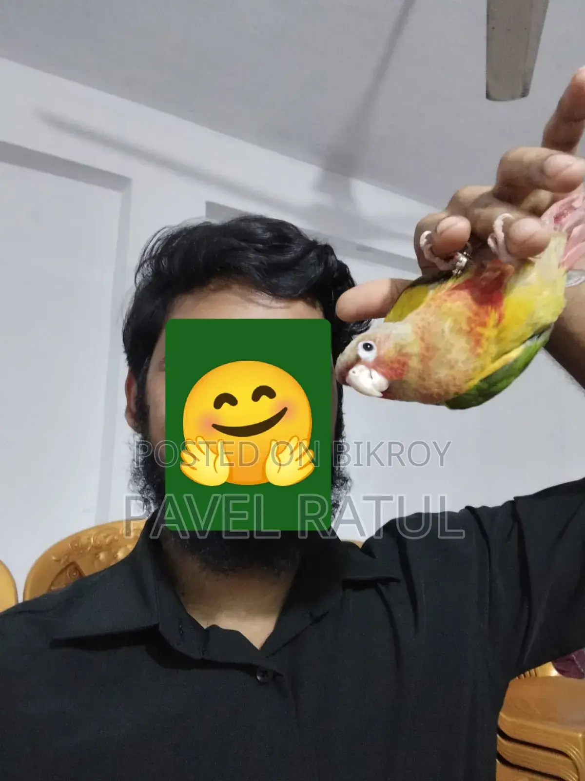 ফ্লাই টেম রেড ফেক্টর পাইঅ্যাপেল কনুর