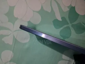 Samsung Galaxy A55 256 GB Blue
