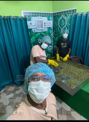 হোমমেড সজিনা পাতার পাউডার | প্রাকৃতিক পুষ্টি কেয়ার