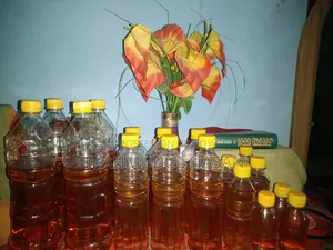 Pure Honey from Beehive