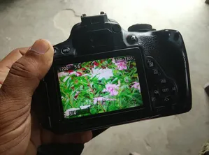 Canon 700D Body + STM Lens 55-250