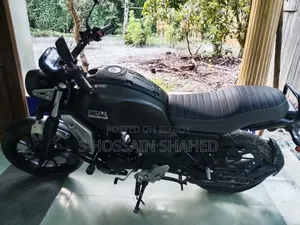 Yamaha FZ-X 2024 Gray