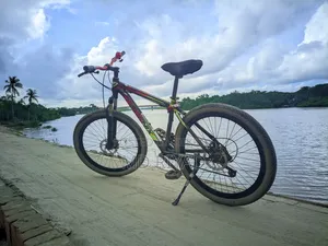 ইমারজেন্সি টাকা লাগবে ।