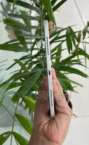অ্যাপল আইপ্যাড (২০২৫) ১২৮ জিবি সিলভার