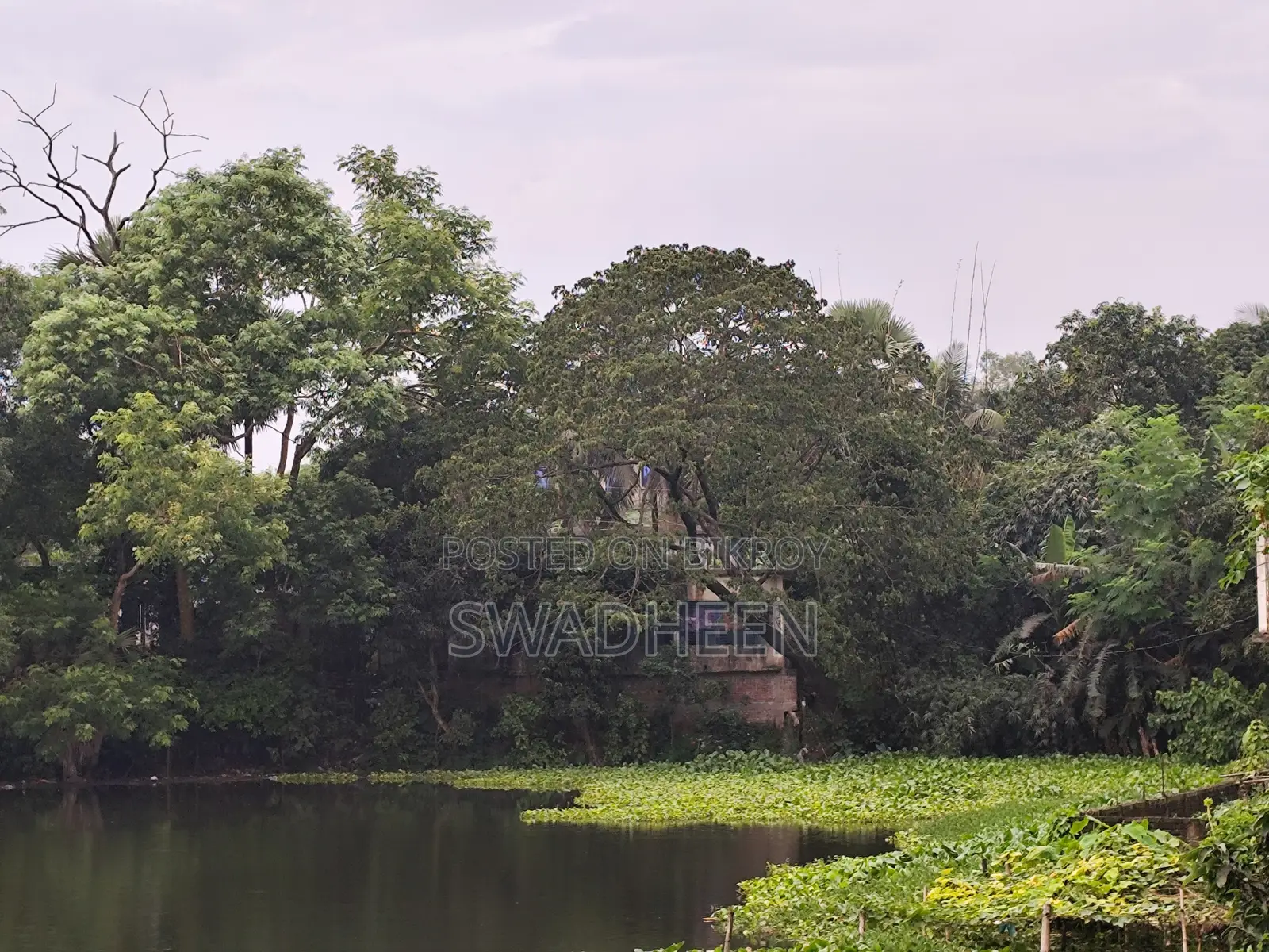 ভালুকায় ২ বেডরুমের বাড়ি বিক্রয়