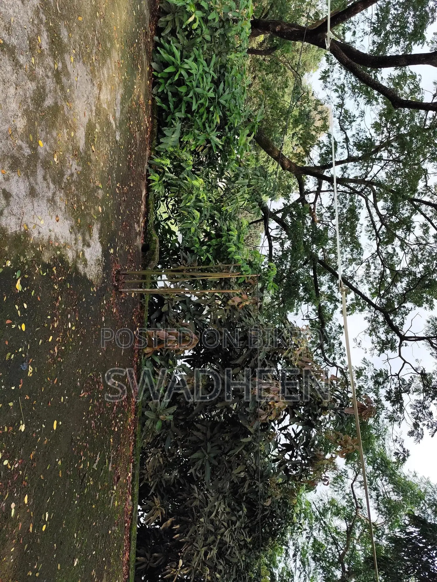 ভালুকায় ২ বেডরুমের বাড়ি বিক্রয়