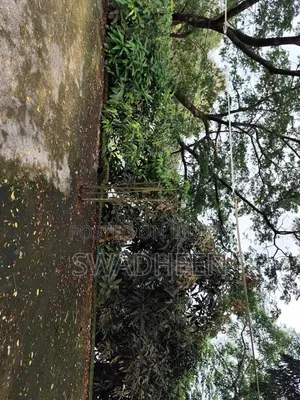 ভালুকায় ২ বেডরুমের বাড়ি বিক্রয়