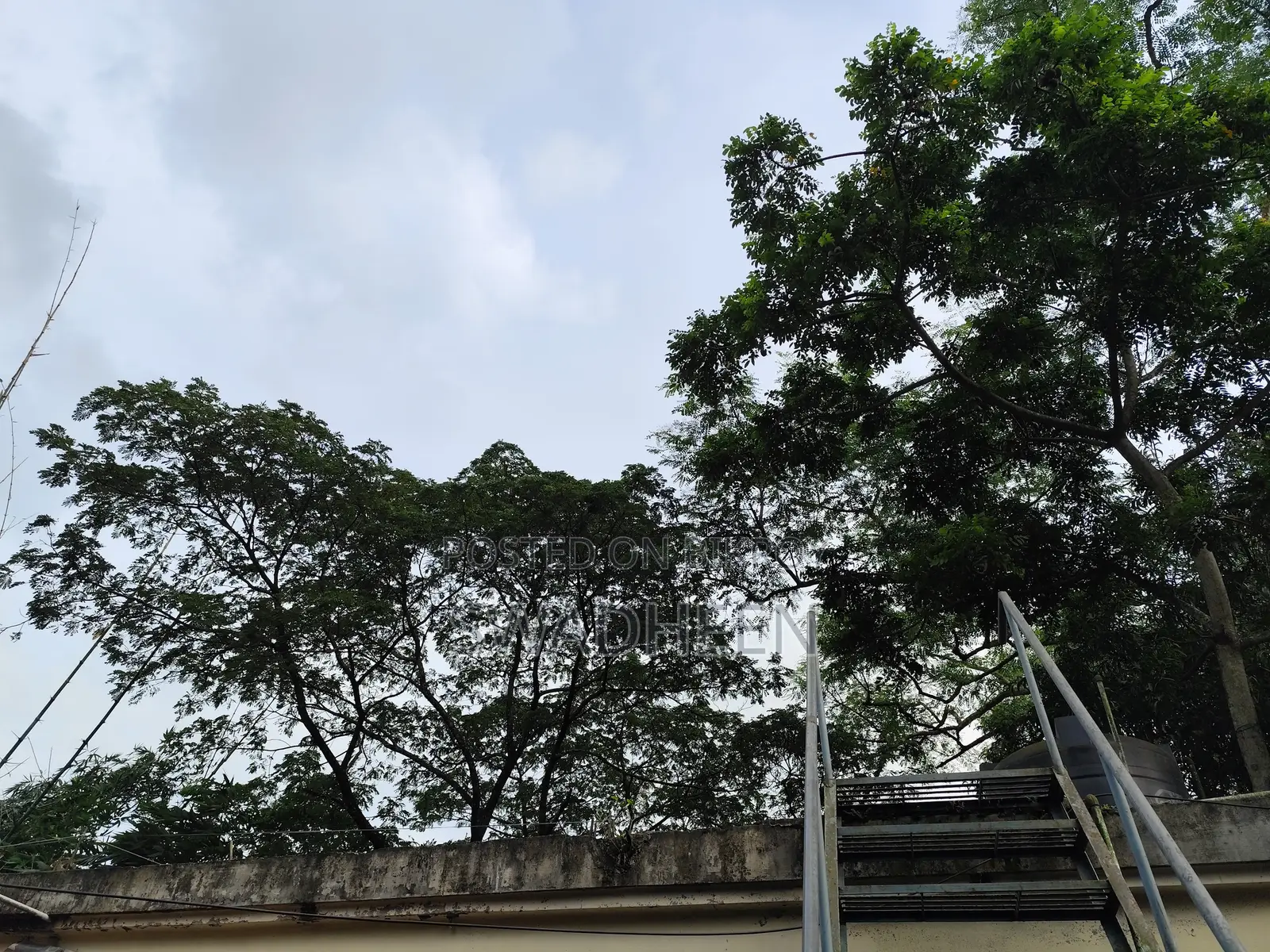 ভালুকায় ২ বেডরুমের বাড়ি বিক্রয়
