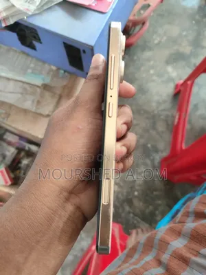 অ্যাপল আইফোন ১৩ প্রো ২৫৬ জিবি পিংক
