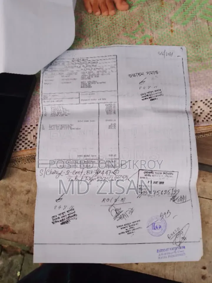 ভিক্টরি হ্যামার ২০১৬ রেড