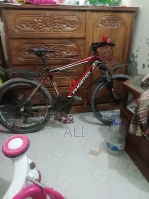 Cycle 24inch
