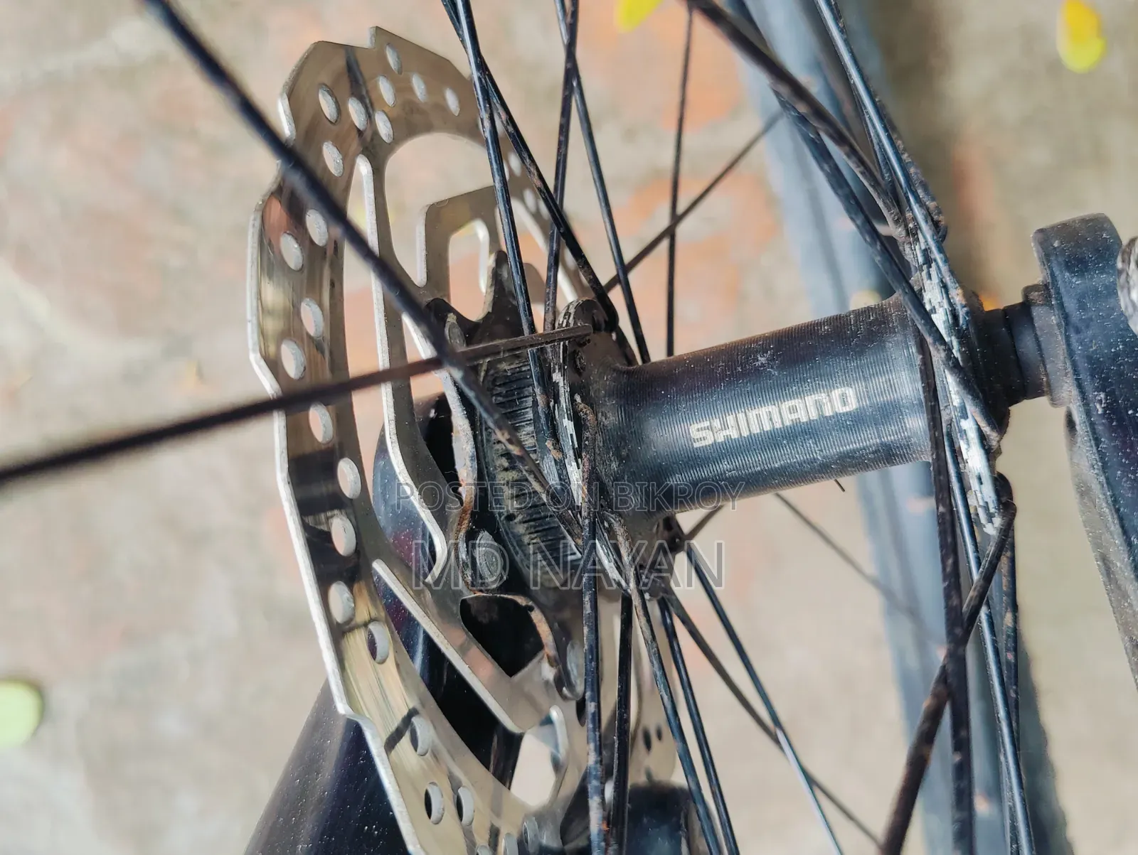 Veloce V300
