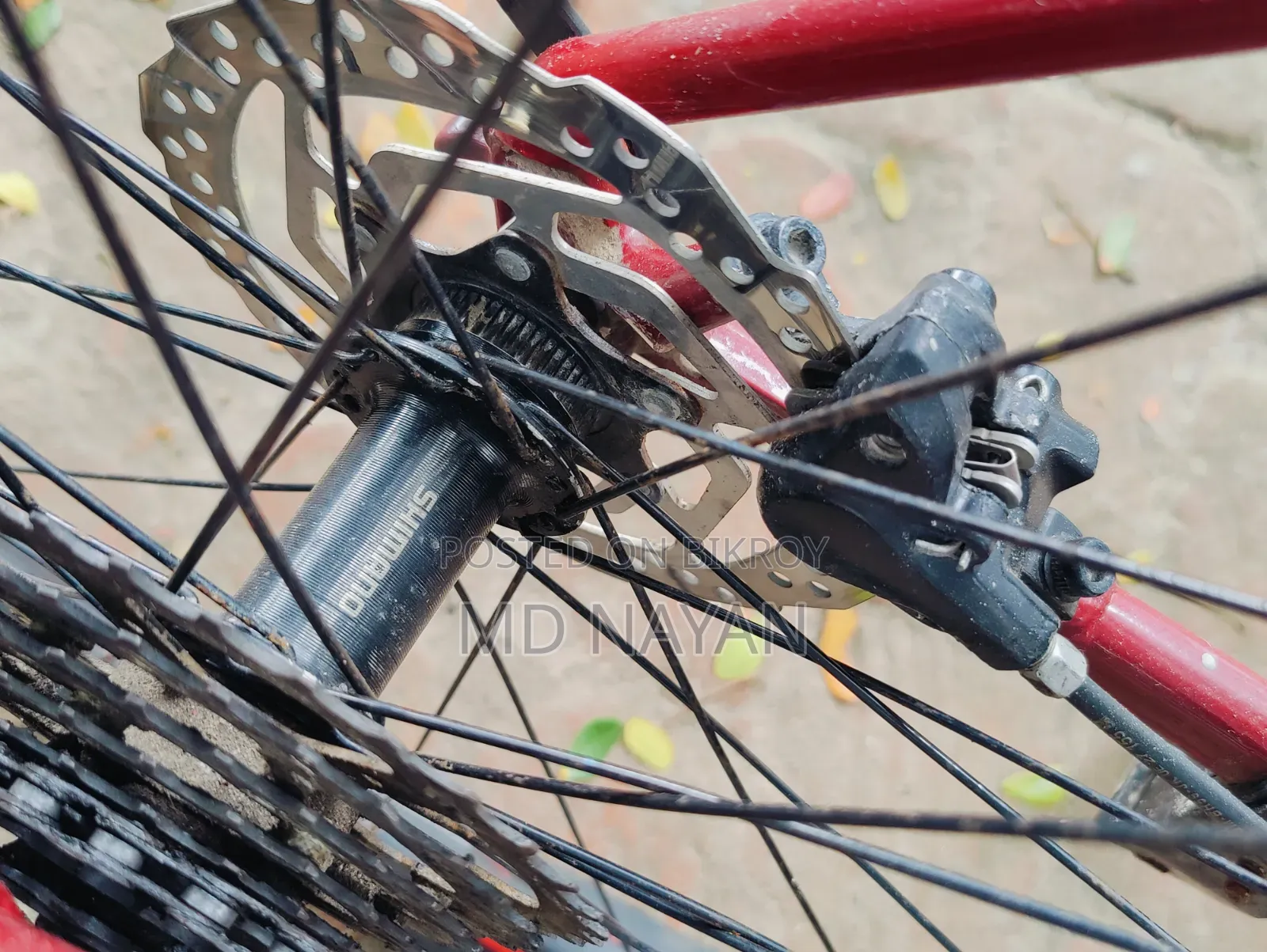 Veloce V300