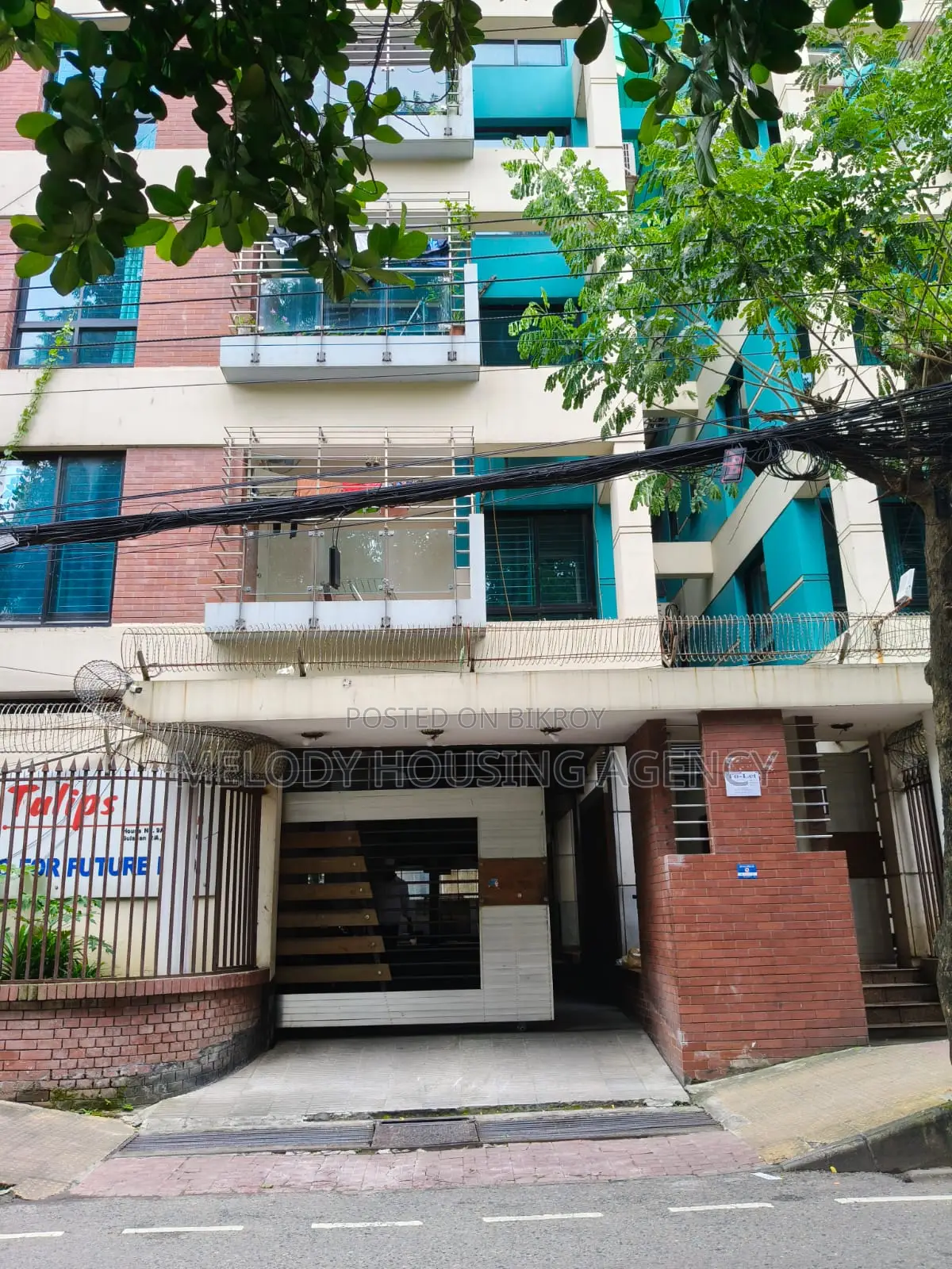 গুলশানের টিউলিপে ৩ বেডরুমের অ্যাপার্টমেন্ট ভাড়ার জন্য
