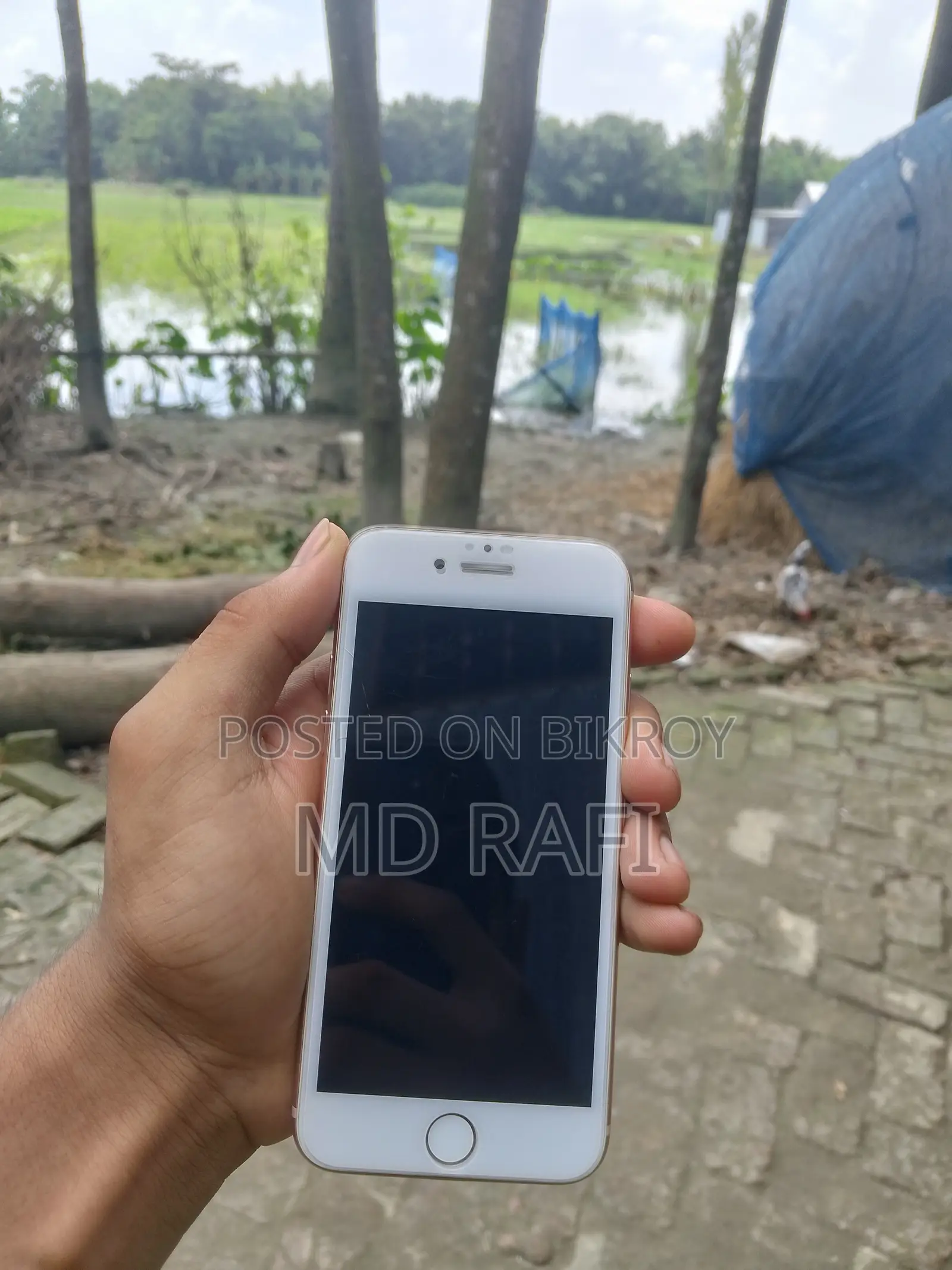 অ্যাপল আইফোন ৮ ৬৪ জিবি গোল্ড