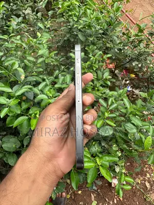 অ্যাপল আইফোন ১৩ প্রো ২৫৬ জিবি ব্ল্যাক