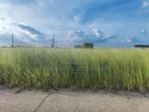 3 Katha South Facing Plot Sell at N Block, Bashundhara Residential